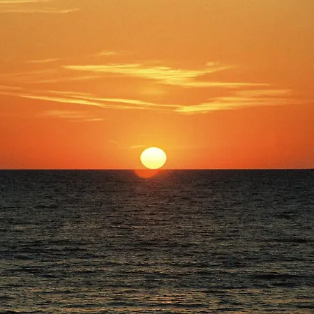 Strandmuschel 08 Goehren (Ruegen)